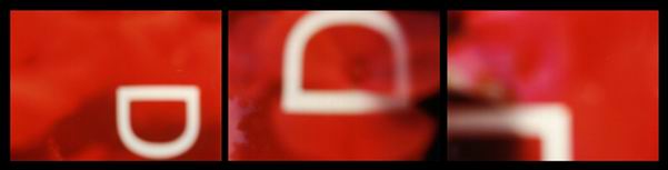 bloom, multiple photoimage, 60 mal 20 cm