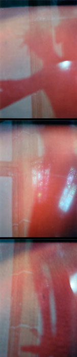 jesus, multiple photoimage, 40 mal 180 cm