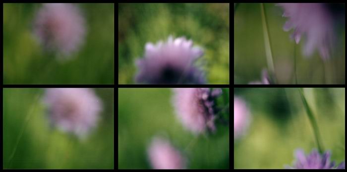 summer, multiple photoimage, 180 mal 80 cm